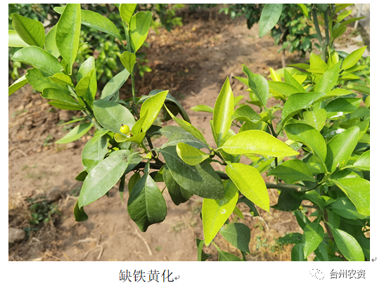 1662427696841658.png 640 (18).png