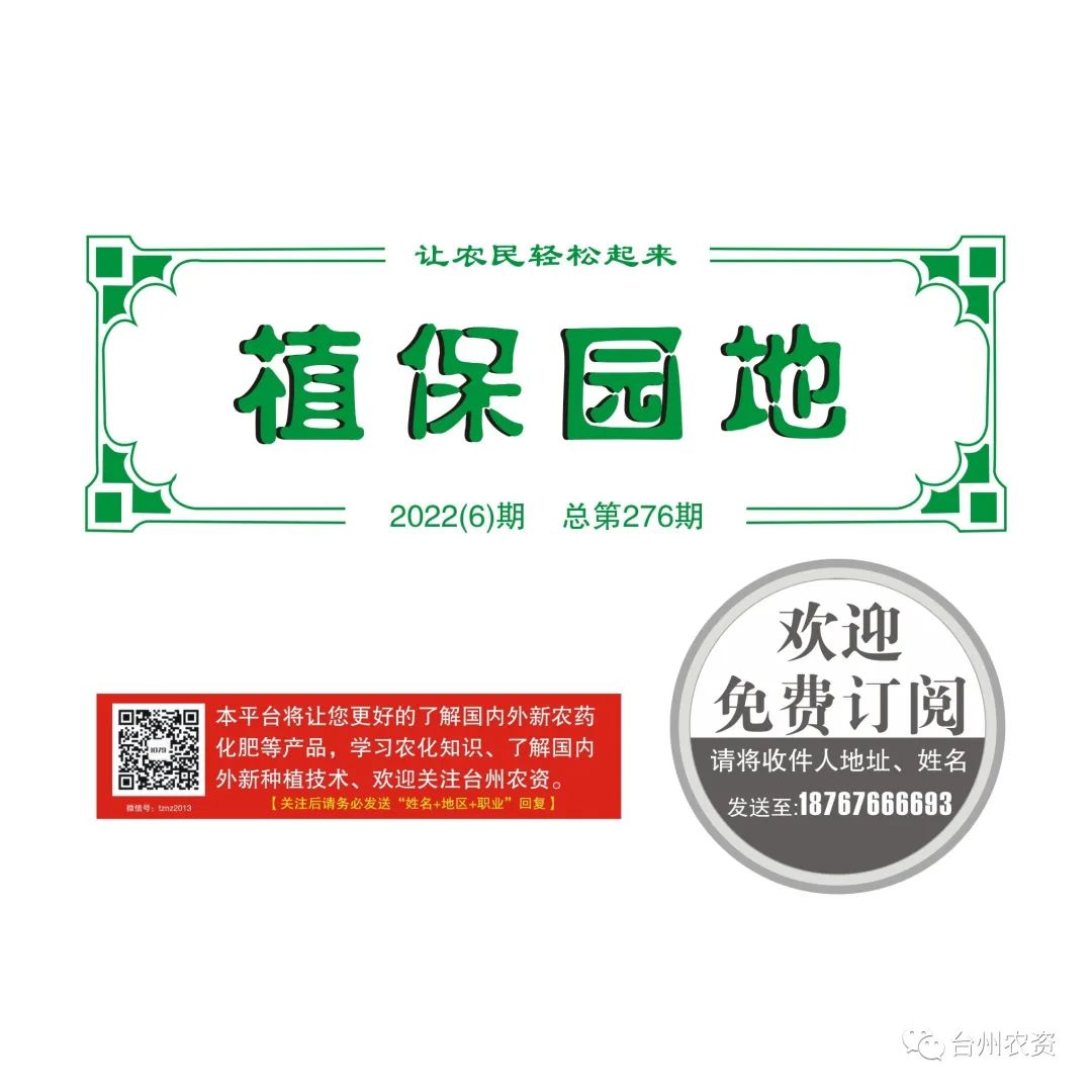 雜交水稻制種增施必奧硅、持力硼成熟期表現(xiàn)情況