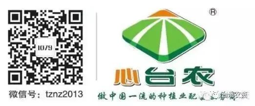 果實接近成熟，警惕柑橘表面各種油胞病